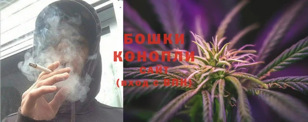 бошки Бронницы