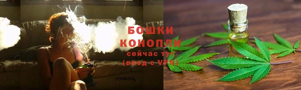 ALPHA PVP Бородино