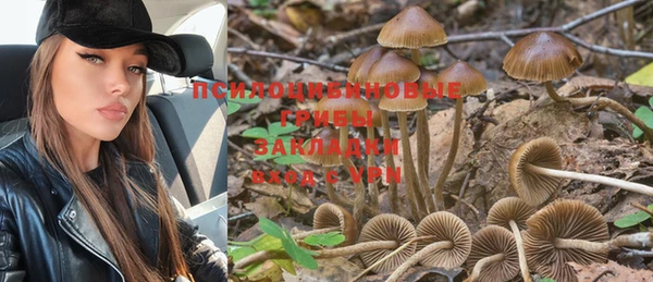 бошки Бронницы