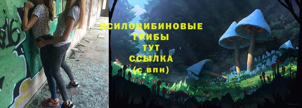 гашик Мегион